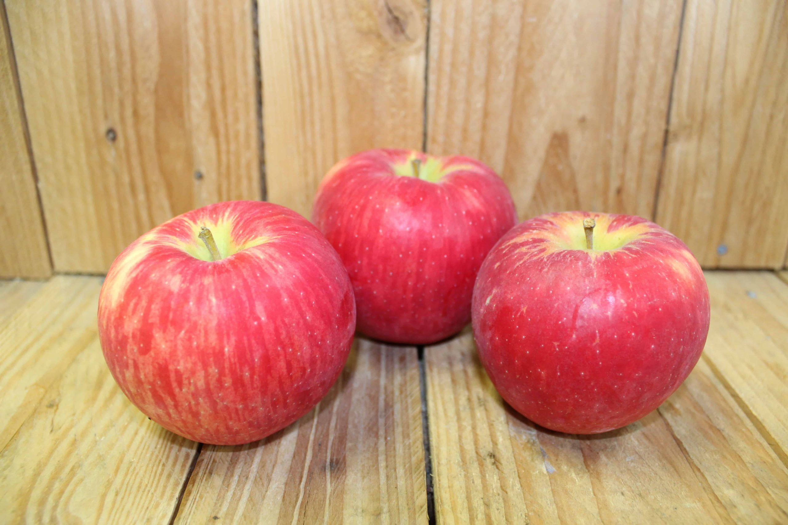 Cosmic Crisp Apples - 2lb Bag